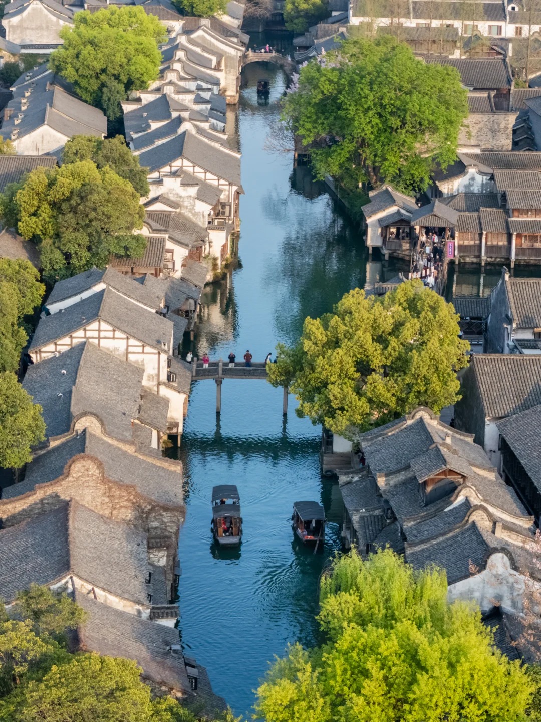 夏日清凉图鉴｜谁说古镇夏天只能蒸桑拿⁉️ 3 托托旅行记 来自小红书网页版