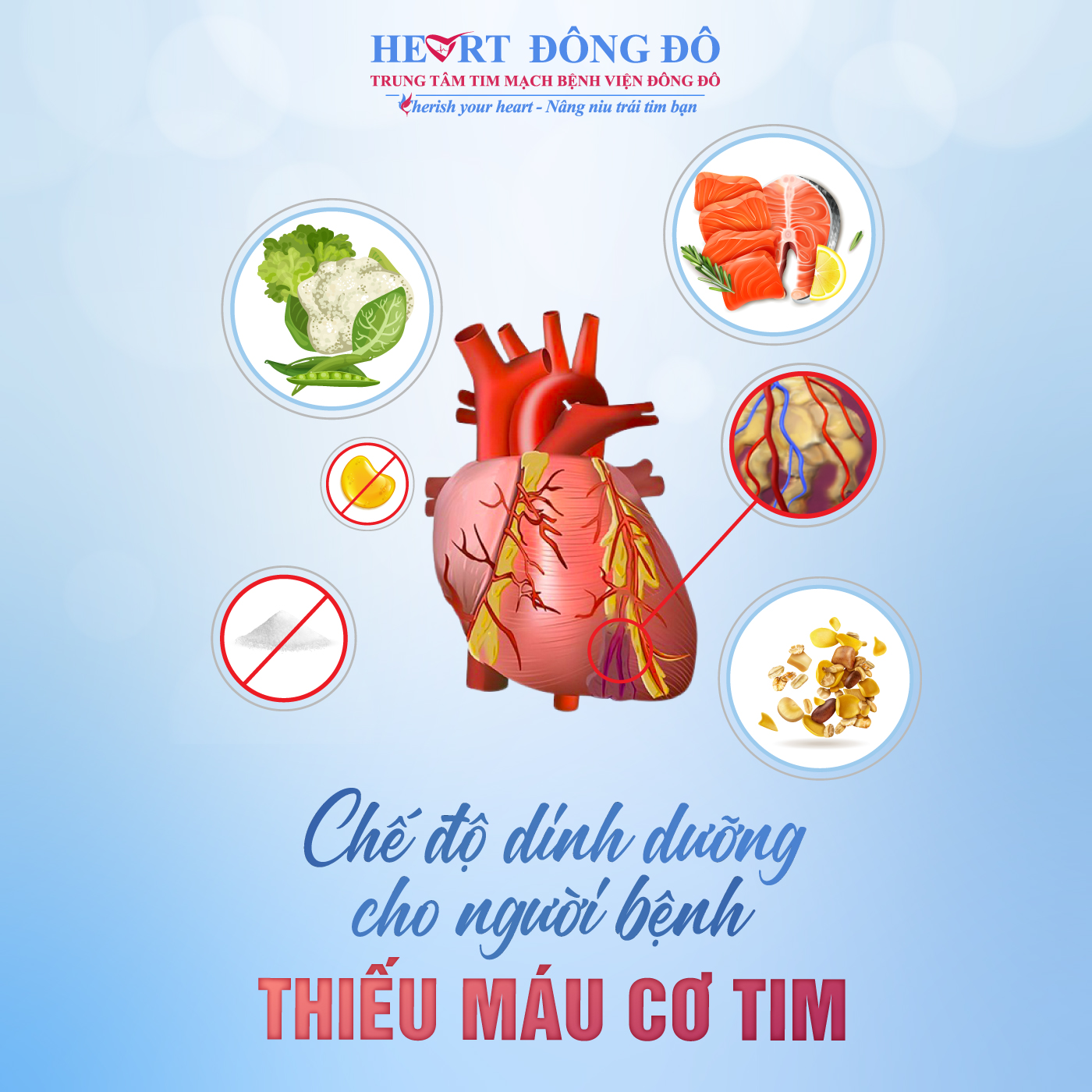 Chế độ dinh dưỡng cho người bệnh thiếu máu cơ tim
