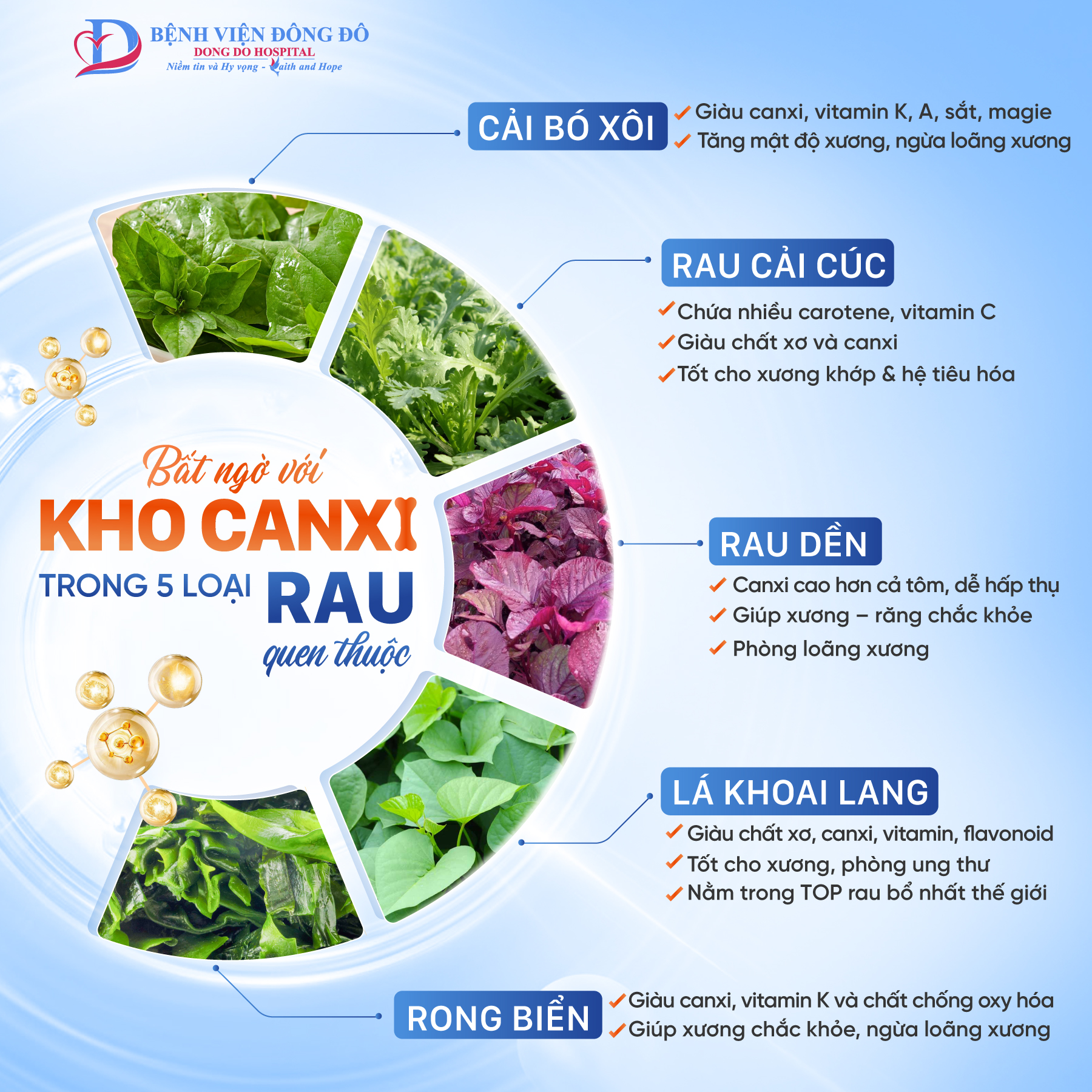 5 LOẠI RAU GIÀU CANXI HƠN CẢ TÔM, CÁ – BẠN ĐANG ĂN MỖI NGÀY MÀ KHÔNG BIẾT!