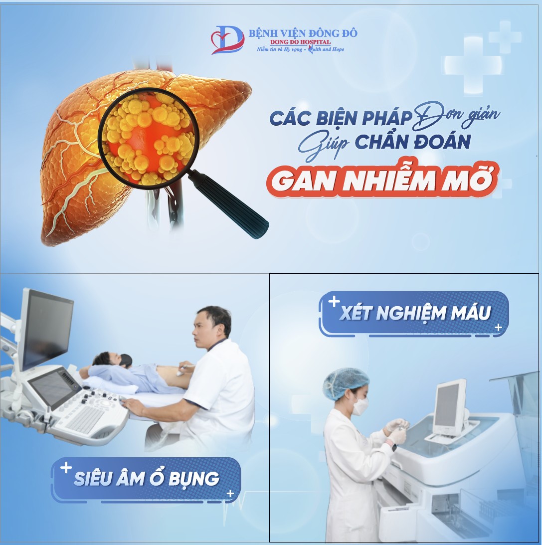 Các biện pháp đơn giản chẩn đoán gan nhiễm mỡ