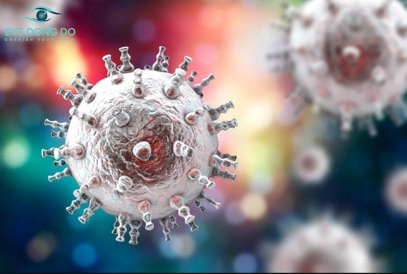 Virus herpes có khả năng gây lây lan cao